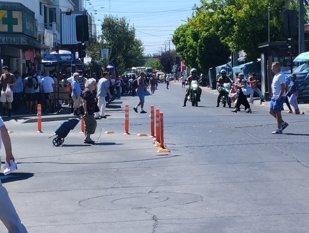 CARABINEROS Y MUNICIPALES CONTROLAN EL COMERCIO ILEGAL