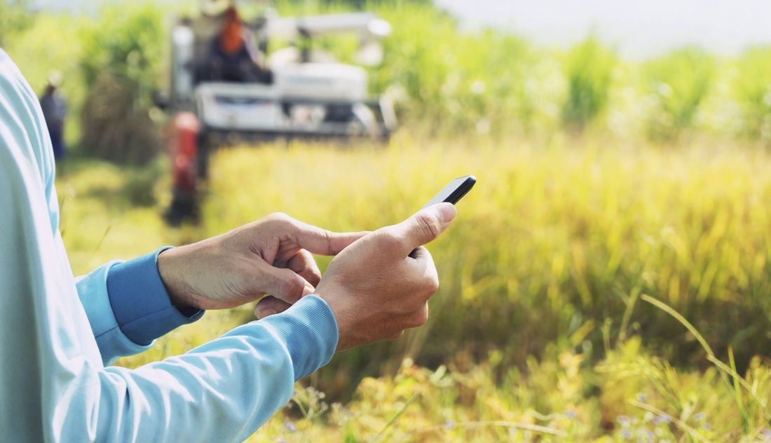 un-usuario-utilizando-su-smartphone-en-el-campo-foto-ep_11_1100x632