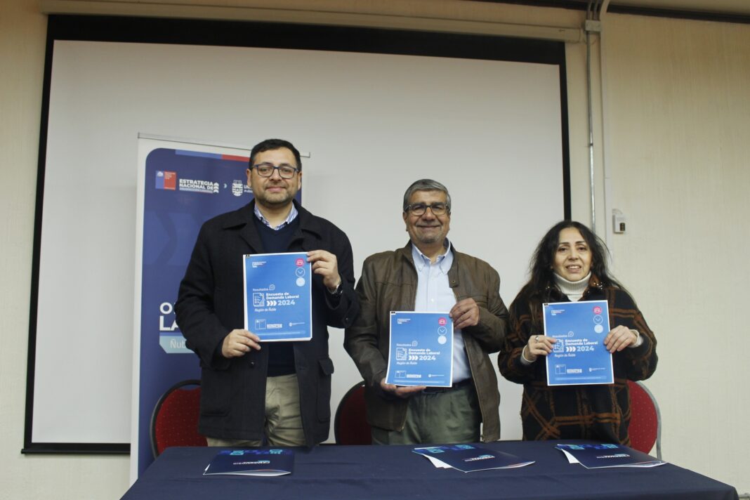 Encuesta-de-Demanda-Laboral-2024-en-Nuble-1-1068x712